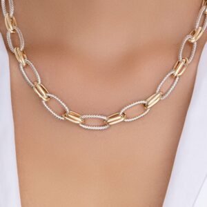 Silver & Gold Nicolas Link Necklace
