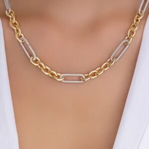 Silver & Gold Jamie Link Necklace