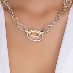 Silver & Gold Tatiana Link Necklace